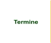 Termine